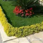 تيل طبيعي وشبكات ري