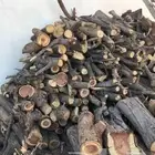 حطب طلح للبيع اربع قلابات او ثلاث قلابات حموله كبيره