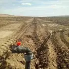 تنسيق حدائق وشبكات ري