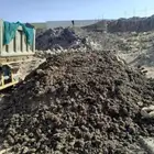 دمن (روث) دجاج وغنم سماد زراعي للبيع بحملة تريلة
