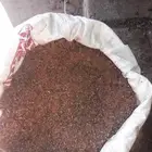 علف تمر النوى مجروش البيع بالطن