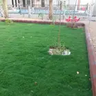 تنسيق حدائق تيل طبيعي