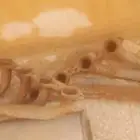هدرز جمس سييرا 2001 hd2500