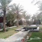 رذاذ وضباب لتبريد الجلسات الخارجية وتلطيف الجو