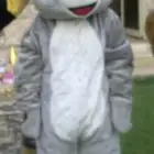 لبسه ارنب