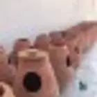 فخار لتربية الروز والبادجي