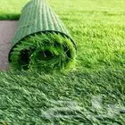مشاتل وتنسيق الحدائق أرخص الأسعار