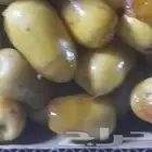 رطب وتمر البيض الفاخر عضوي