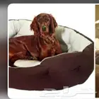 مندوب توصيل حيوانات جدة الرياض والعكس