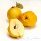 ابي سفرجل في ابها