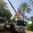 كرين ونش للاجار اليومي وشهري الوقع تبوك ضبا شرما البدع