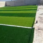 عشب صناعي ونجليه طبيعي