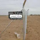 مصنع الشبك مصنع سياج تركيب شبك المزرعه