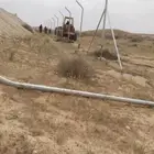 شبوك وتلبيسه جريد