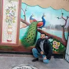 رسام حوائط مناظر طبيعية كافيهات محلات مولات