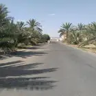 عمال النخل جميع أشغال أنخل نجران علاج النخل من المرض والسوسه