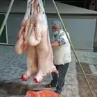 شوي خارجي