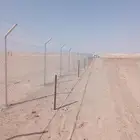 مقاول شبوك ونخيل ج