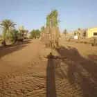 توريد جميع انوع انخيل قسم خاص تركب شبوك مزارع