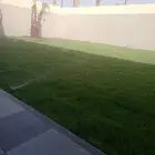 ثيل طبيعي سي 2000