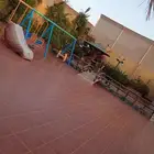 استراحة التاج لايحار يومي