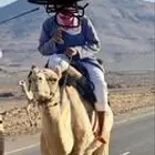 رباع طابع حر صافي