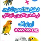 تحليل DNA- في اقوى المختبر الأوربي البرتغالي