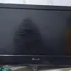تلفزيون