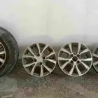 جنوط اكسنت للبيع