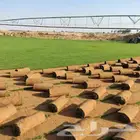ثيل طبيعي ياباني انتورو c2000 فرنسي امريكي تجهيزإنشاء ملاعب
