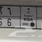 لوحه جيب للبيع عالسوم