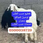 اغنام بلدي نجران