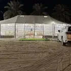 بيوت شعر تركية ابيض