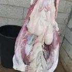 ذبايح حري وتيوس ونعيم ملهم حريملاء الرياض