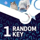 key steam inzoi