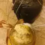 سمن ورضيفة جنوبية