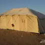 عفيف
خيمة 5 8