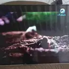 شاشة 55 بوصه TCL