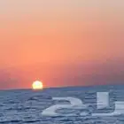 رحلات صيد ونزهه شباب وعوائل