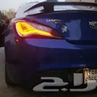 جينيس كوبيه رياضيه2013