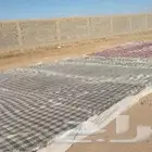 سقف خيمه جديد يصلح حق حلال