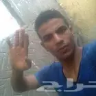 سمك بلطي حي وطازج توصيل إلى بابك