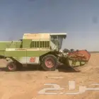 القصيم بريدة جوال 00