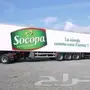 للبيع حاويات برادات كونتينر ثلاجة اوربية