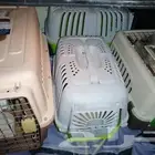 موصل طيور حيونات اليفه امنات