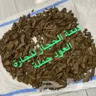 عود مروكي ذهبي جملة الجملة