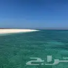 رحلات سباحه عوائل
