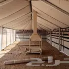 بيوت شعر ابيض تركي المكنة الماني