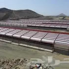 حظاير دواجن