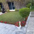 شتلات زراعيه